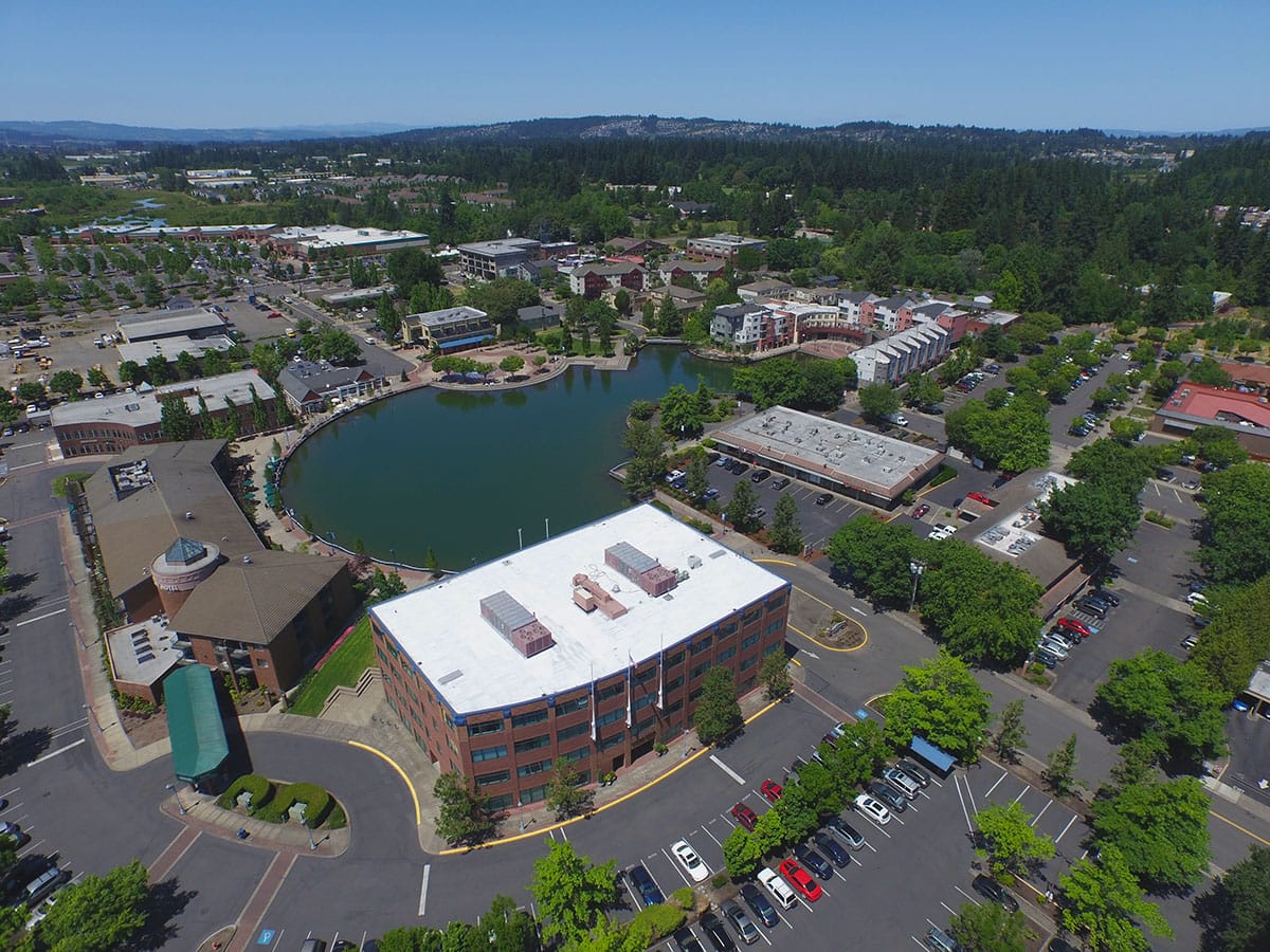 Economic Development 1