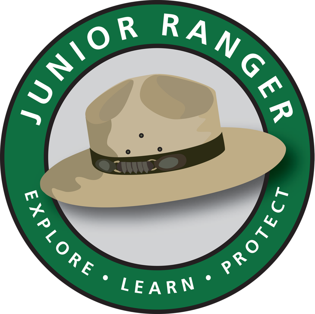Jr Ranger logo Color 2