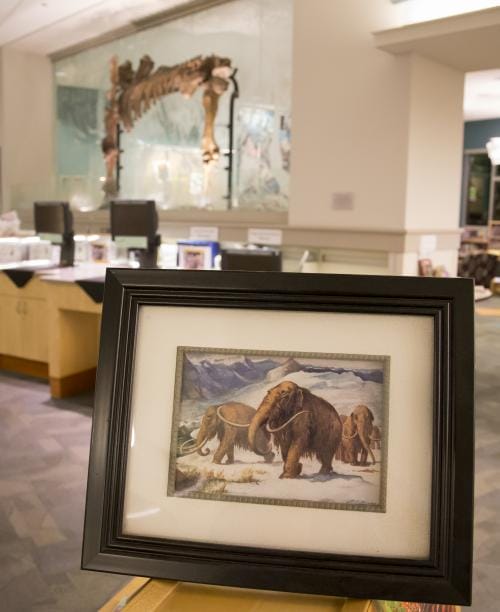 Kalexander 09 2014 2