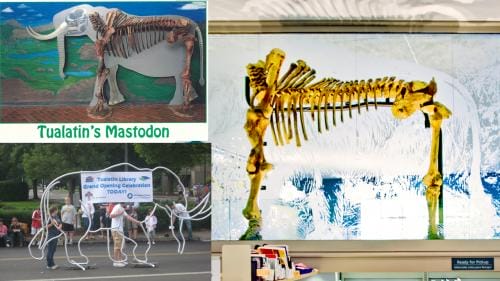 Tualatin library then now mastadon