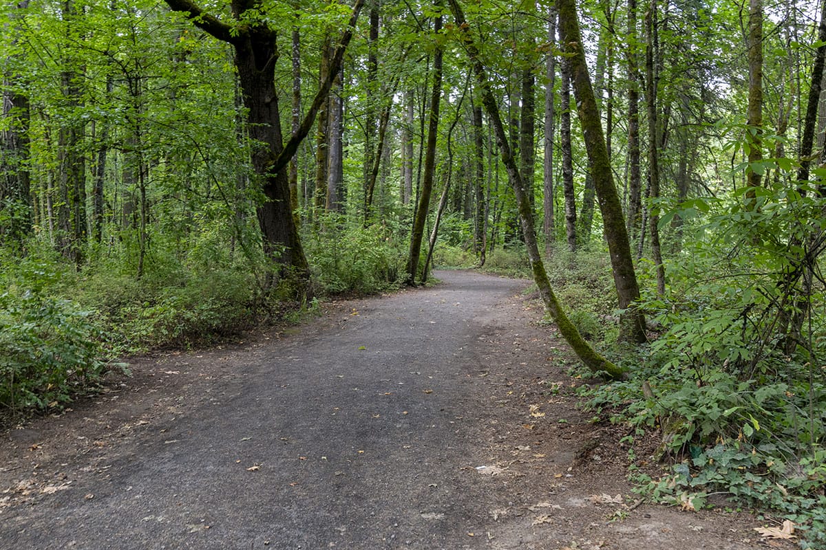 Tualatin Community Park