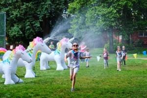 23bd evan marx unicorn meadow 300x200