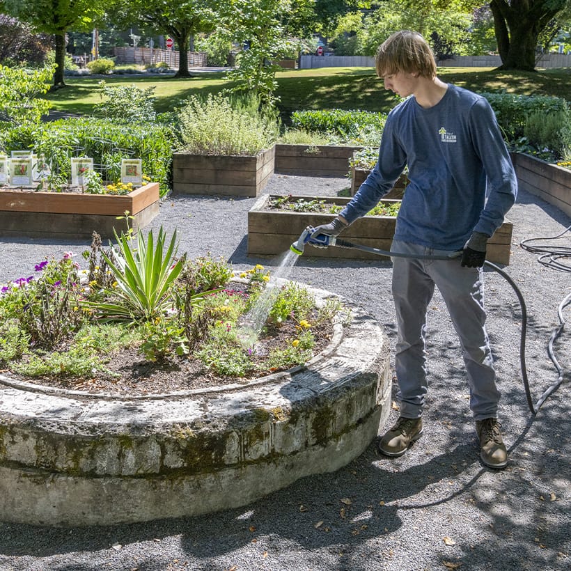 CTA Parks Maintenance