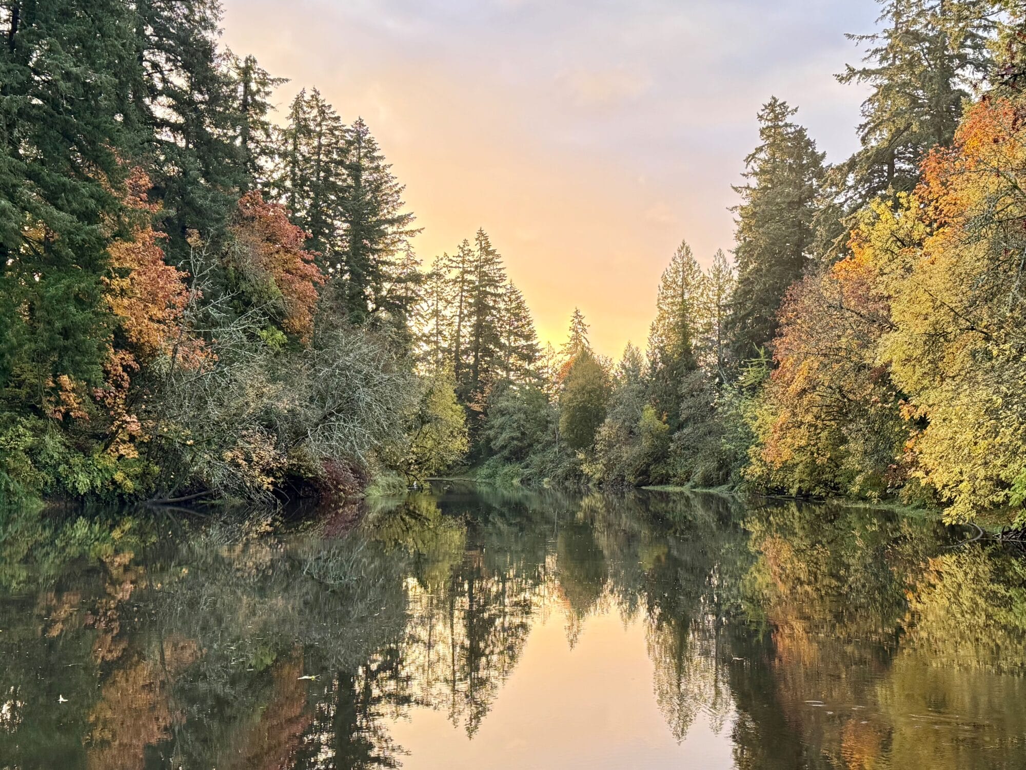 1 Park at Sunrise D Fitts