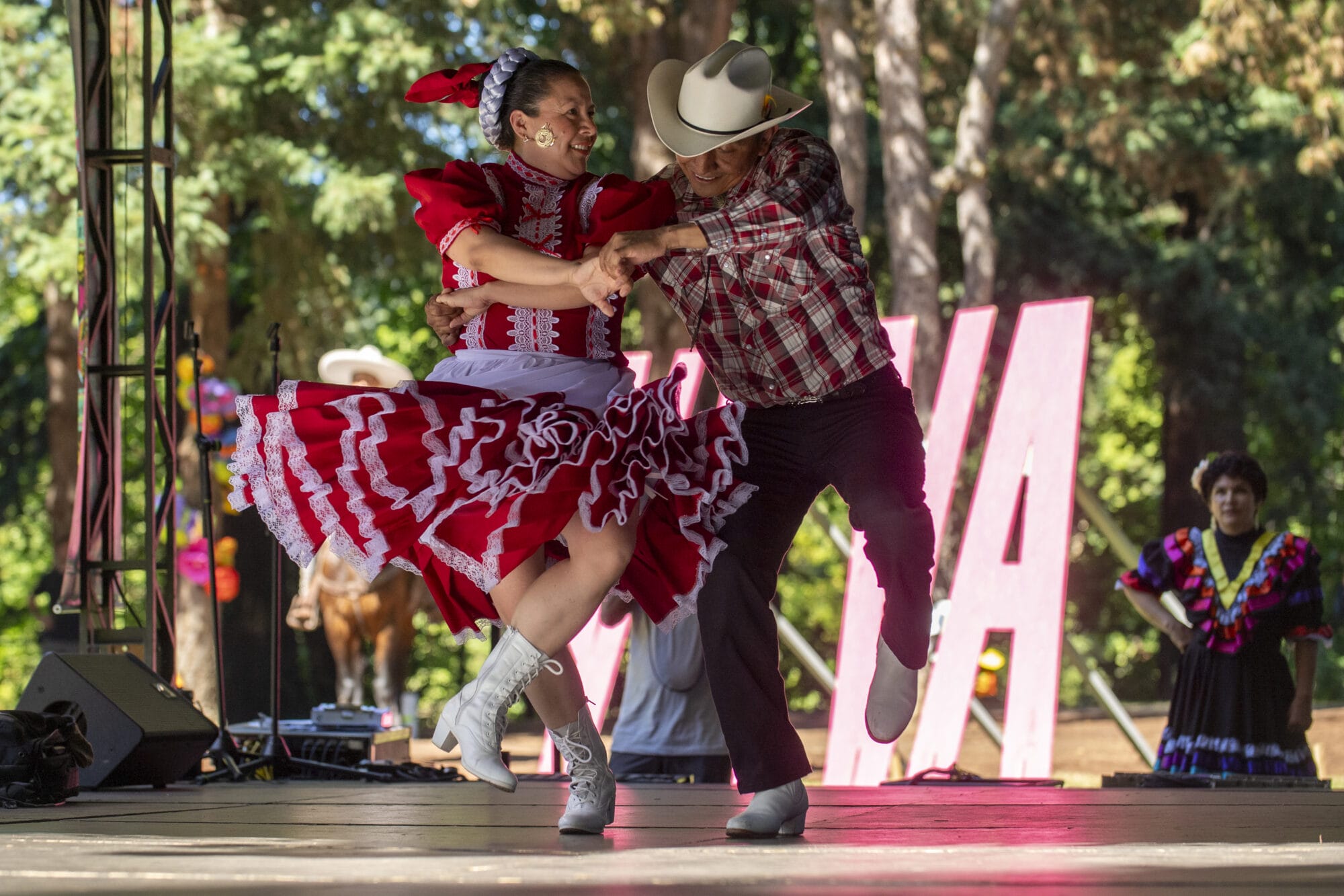 Viva Tualatin Festival at Tualatin Community Park