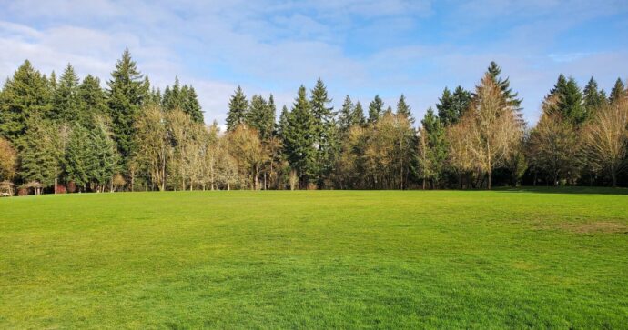 Soccer Field #2 2 (1)