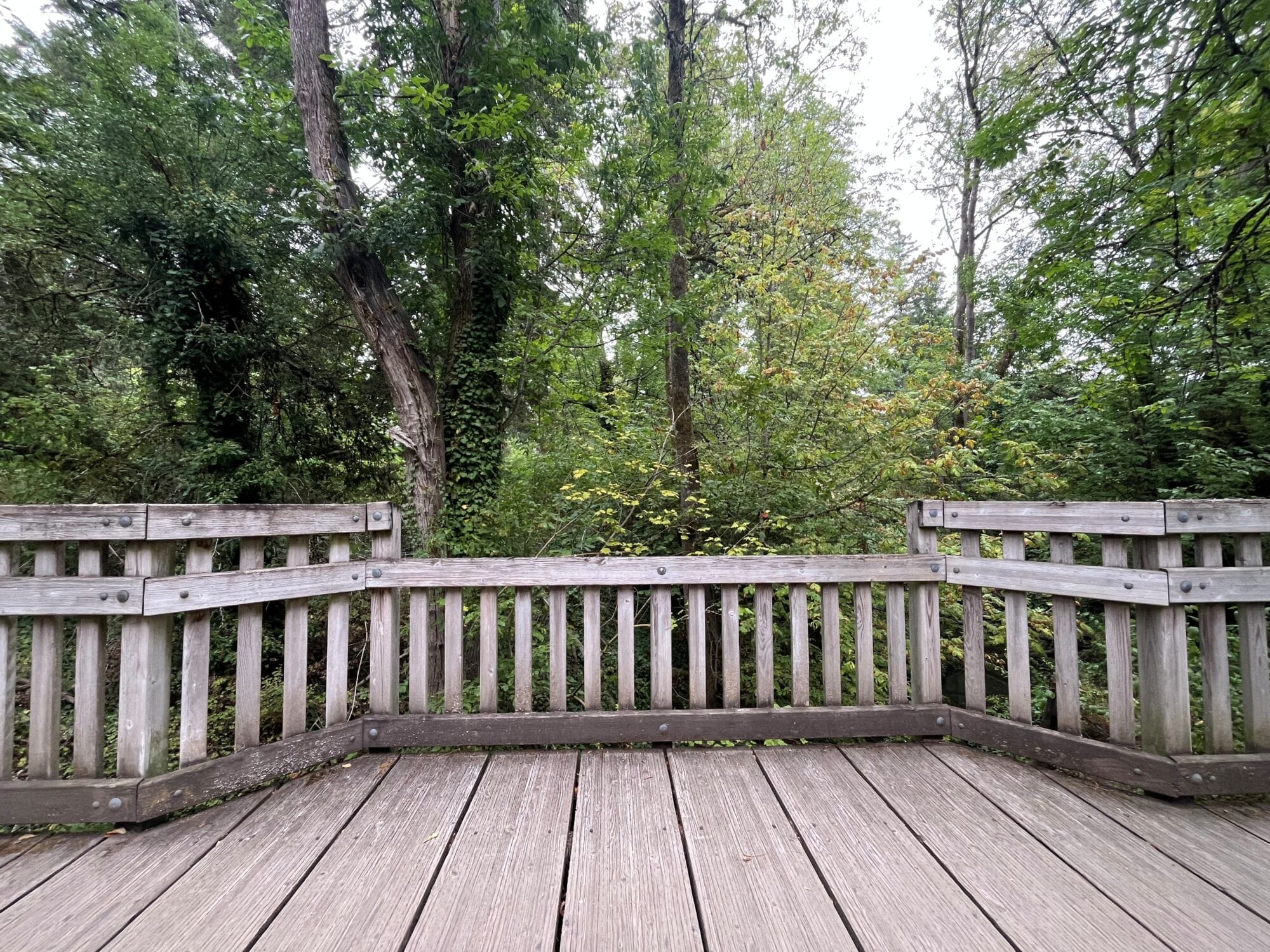Brown's Ferry Park bridge