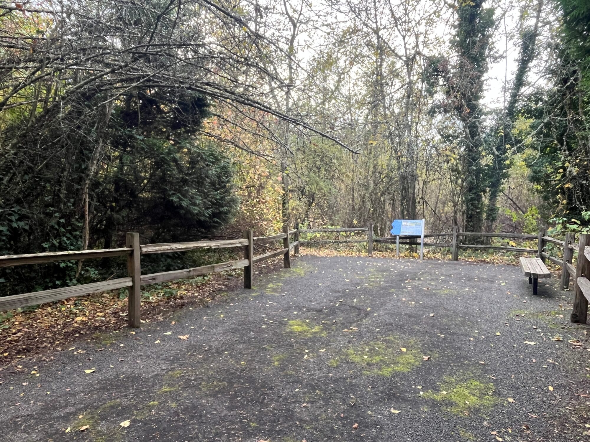 Sweek Pond Natural Area trail 2025