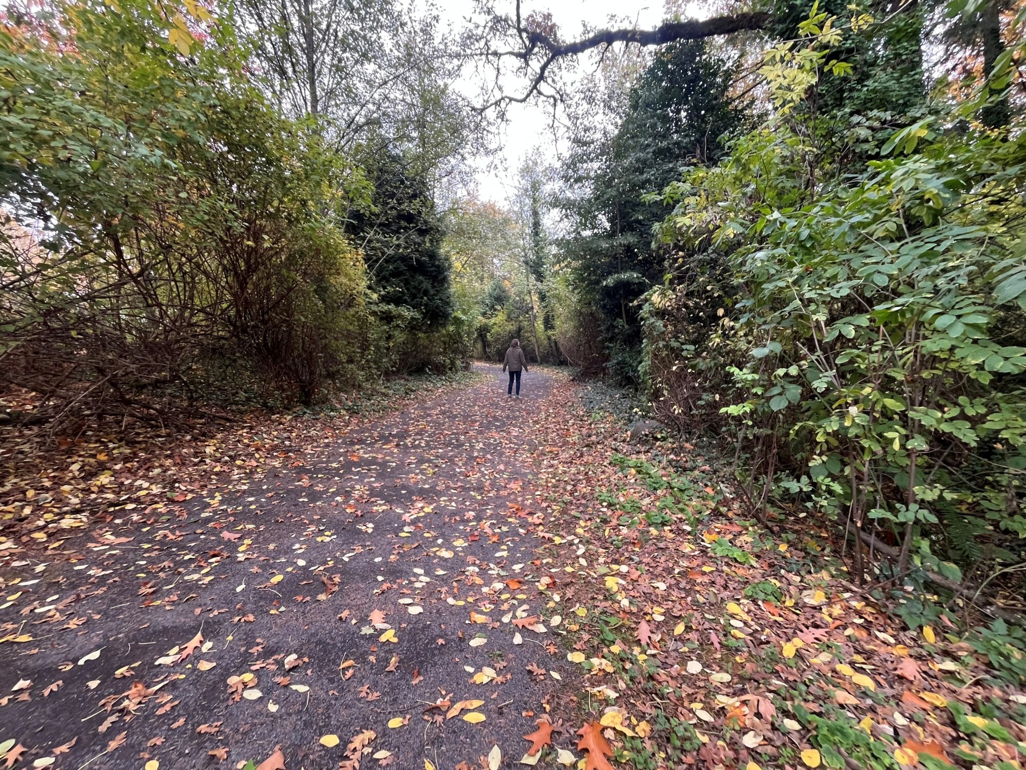 Sweek Pond Natural Area trail 2025