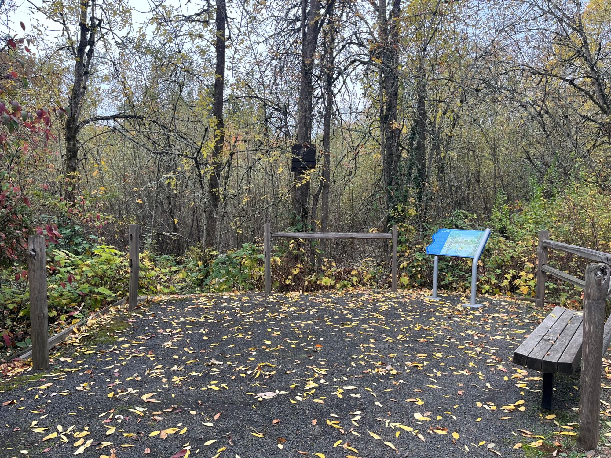 Sweek Pond Natural Area trail 2025