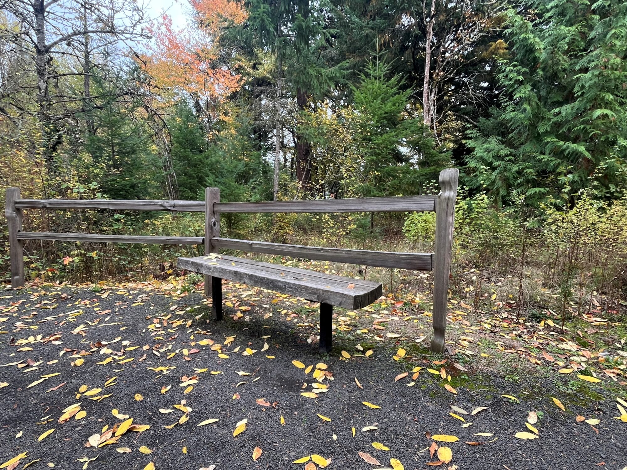 Sweek Pond Natural Area trail 2025