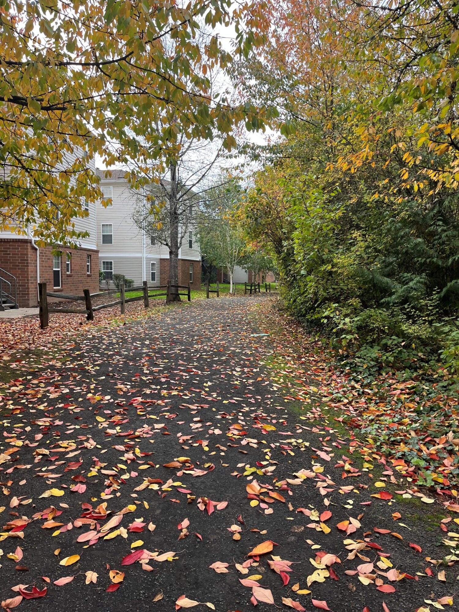 Sweek Pond Natural Area trail 2025