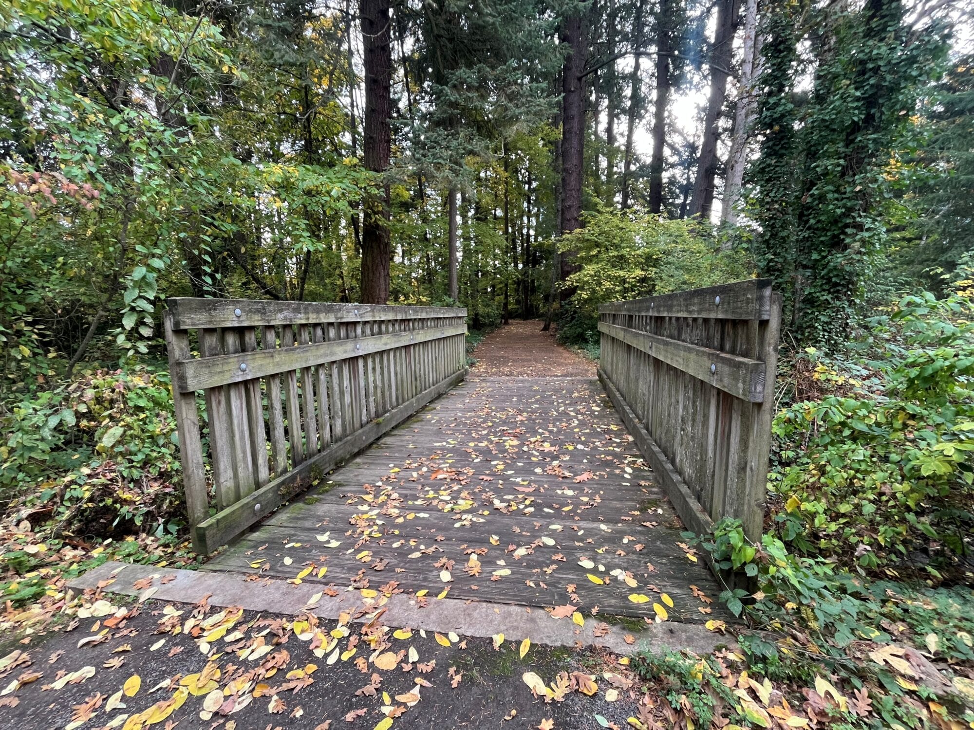 Sweek Pond Natural Area trail 2025
