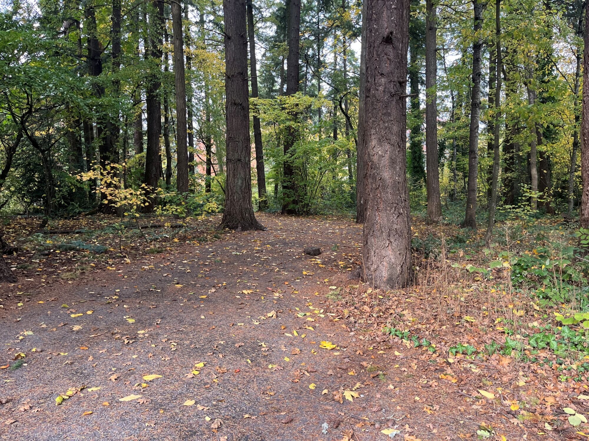 Sweek Pond Natural Area trail 2025
